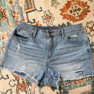 Aerie Denim Shorts with Distressed Details - M